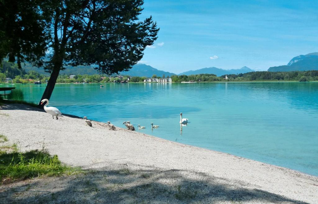 Pension Stissen Haus Am See Faak am See Exteriör bild